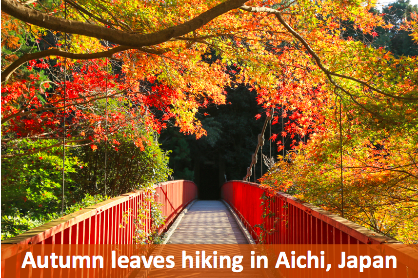 Autumn leaves in Aichi Japan