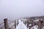 漢拏山 霊室（ヨンシル）ルートは雪でもスニーカーで行けるレベル【2017年3月韓国最高峰 漢拏山登山8】