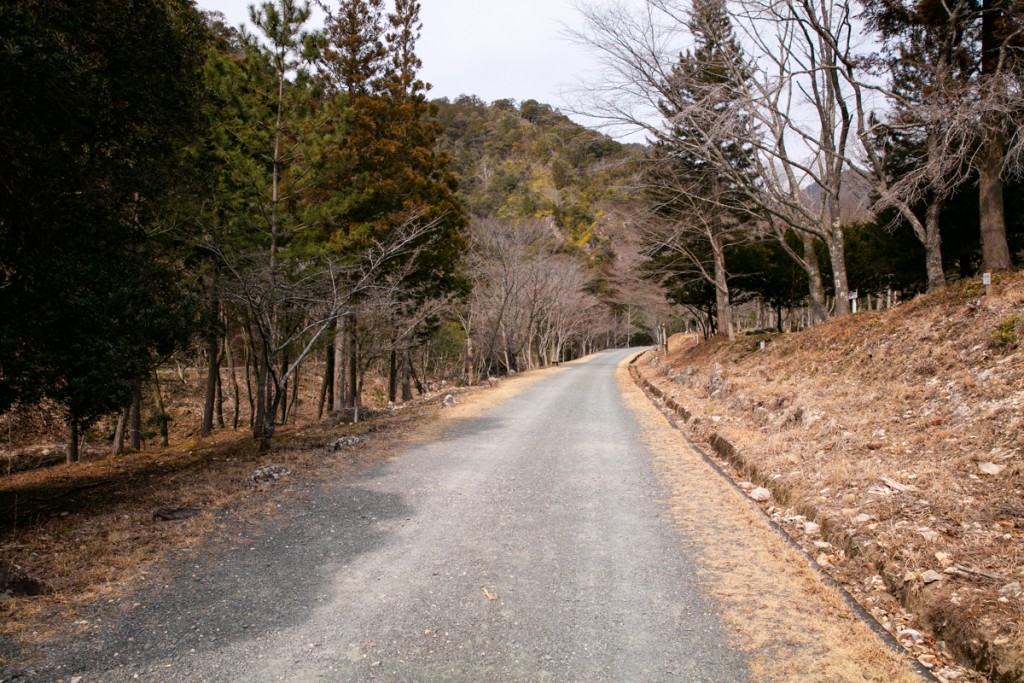 愛知県民の森　ハイキングコース