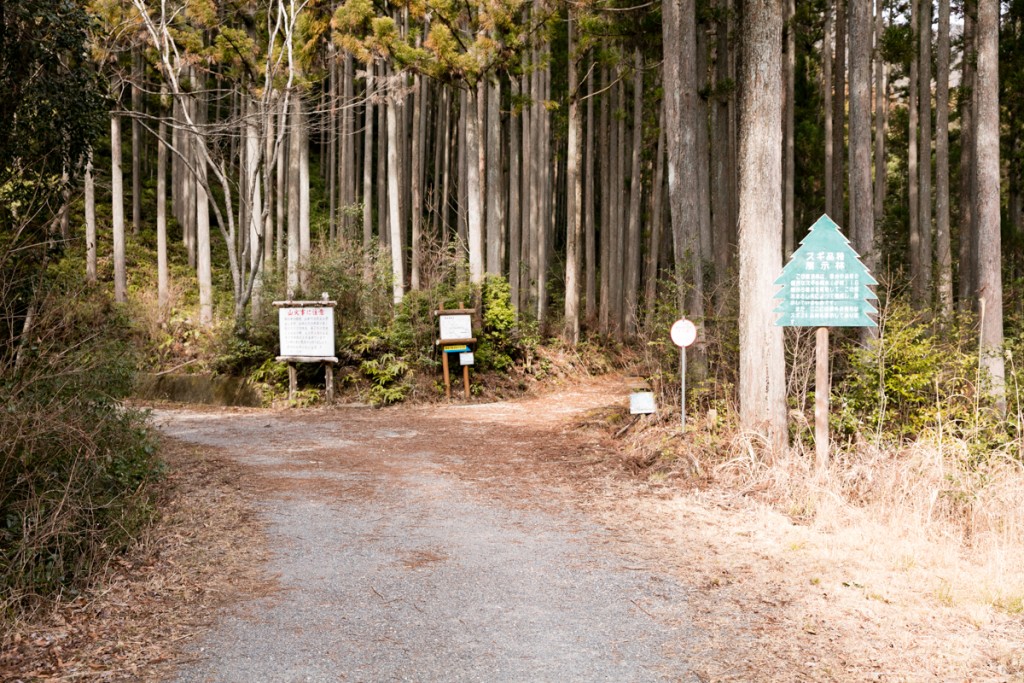 愛知県民の森　ハイキングコース　北尾根分岐点