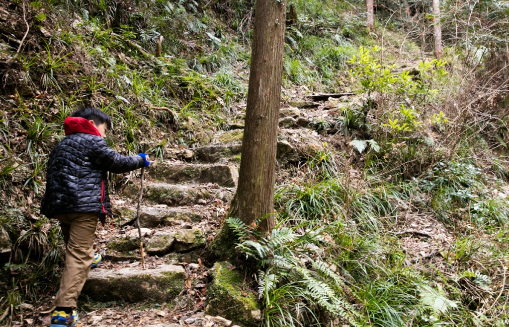愛知県民の森　亀石の滝からの登り