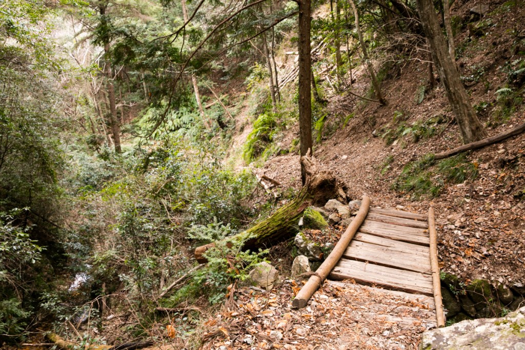 愛知県民の森　下石林道への下り２