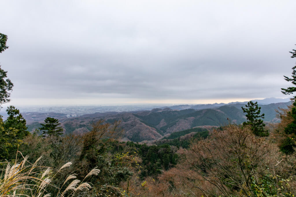 高尾山　ケーブルカー高尾山駅からの景色