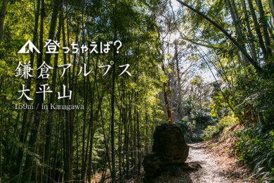 鎌倉アルプス　天園ハイキングコース