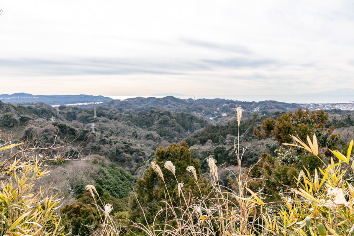 天園ハイキングコース　大平山からの景色