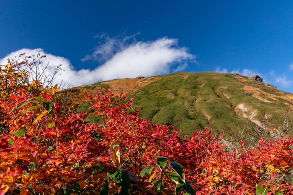 谷川岳の紅葉