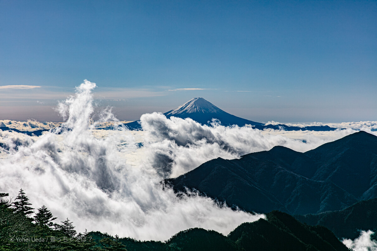 甲武信ヶ岳　山頂付近からの富士山