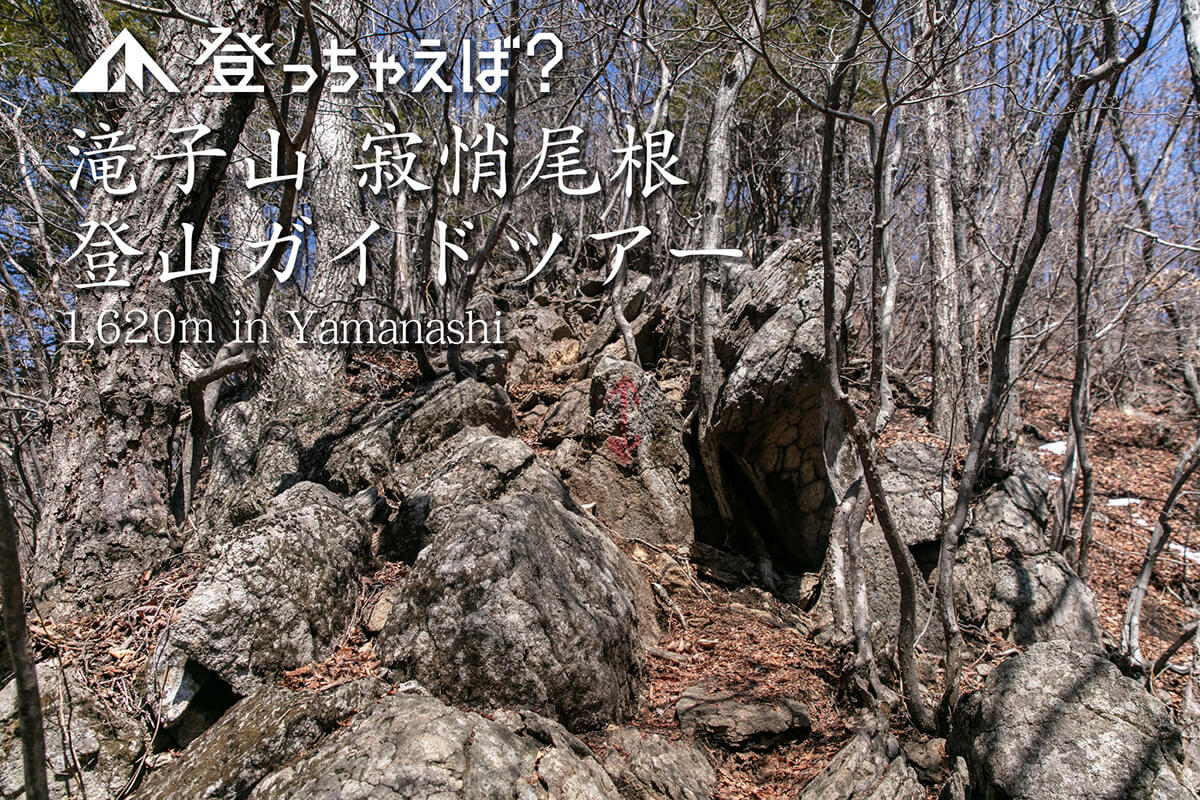 滝子山　寂悄尾根　登山ガイドツアー