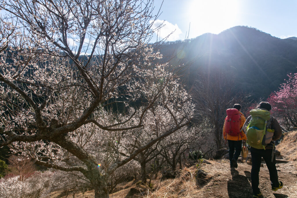 湯河原幕岩フリークライミング