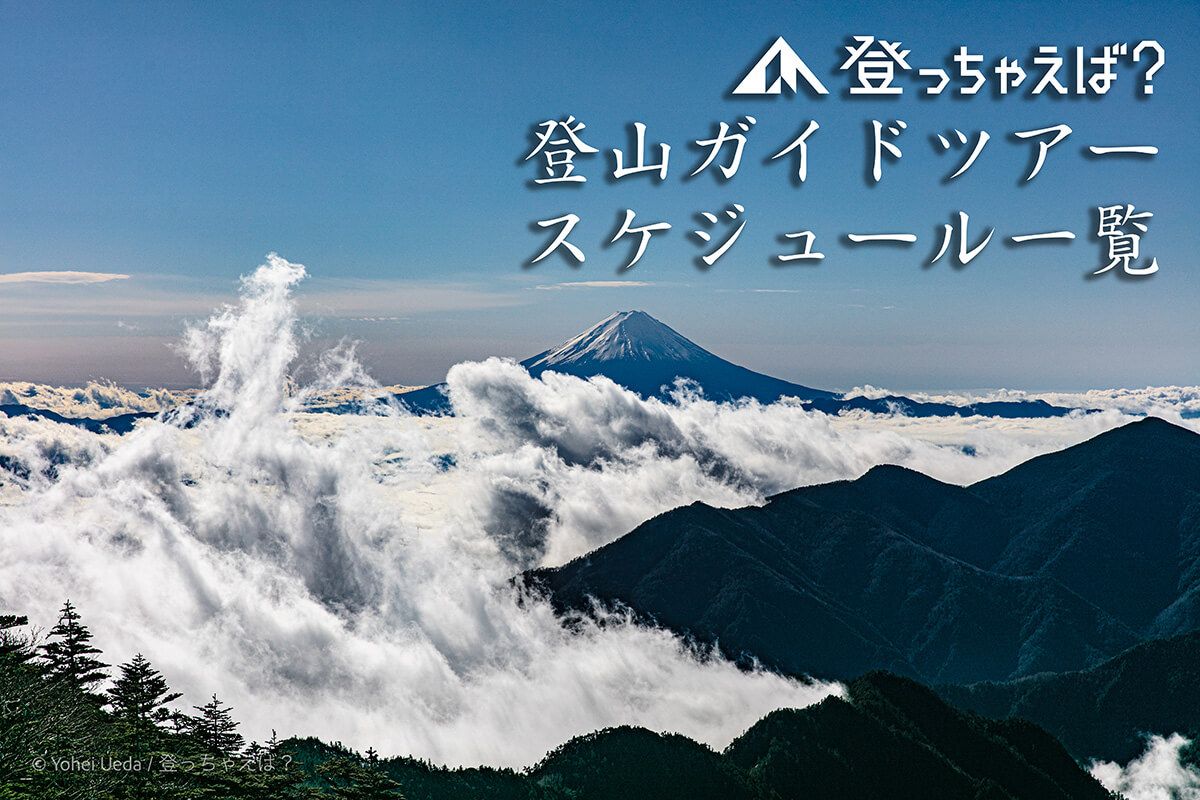 甲武信ヶ岳から眺める富士山