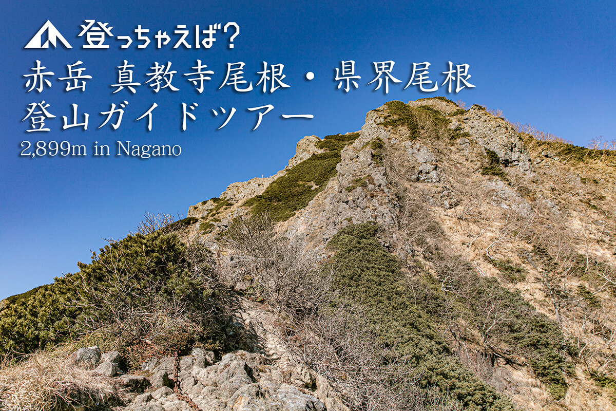 赤岳真教寺尾根ガイドツアー