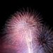 東海花火まつり2016-3